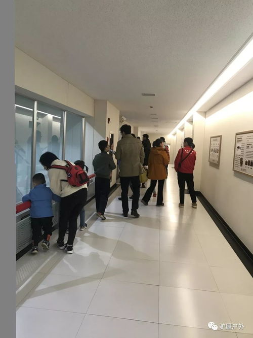 養(yǎng)樂(lè)多工廠探游 揭秘100億活性菌與健康住宿的雙重體驗(yàn)